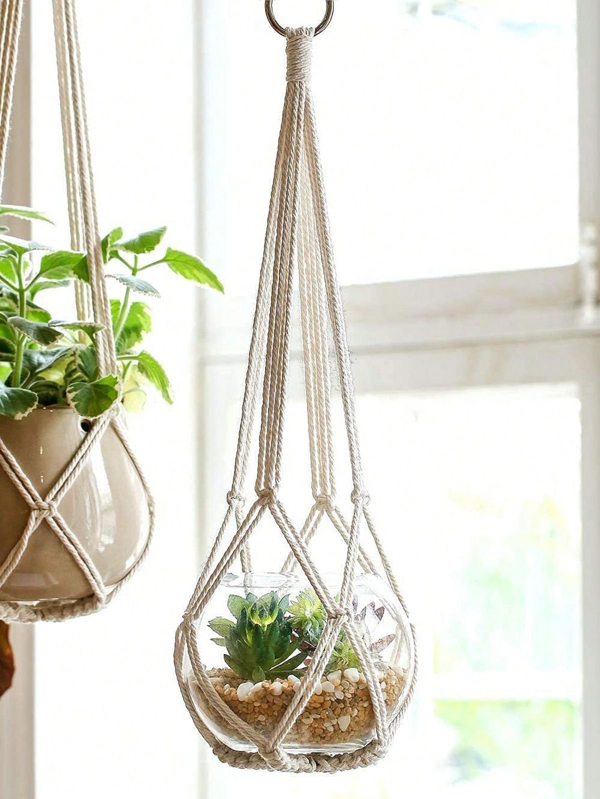 Macrame Plant Hanger
