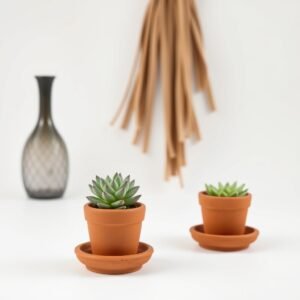 Mini Terracotta Pot with Saucer Set of 3